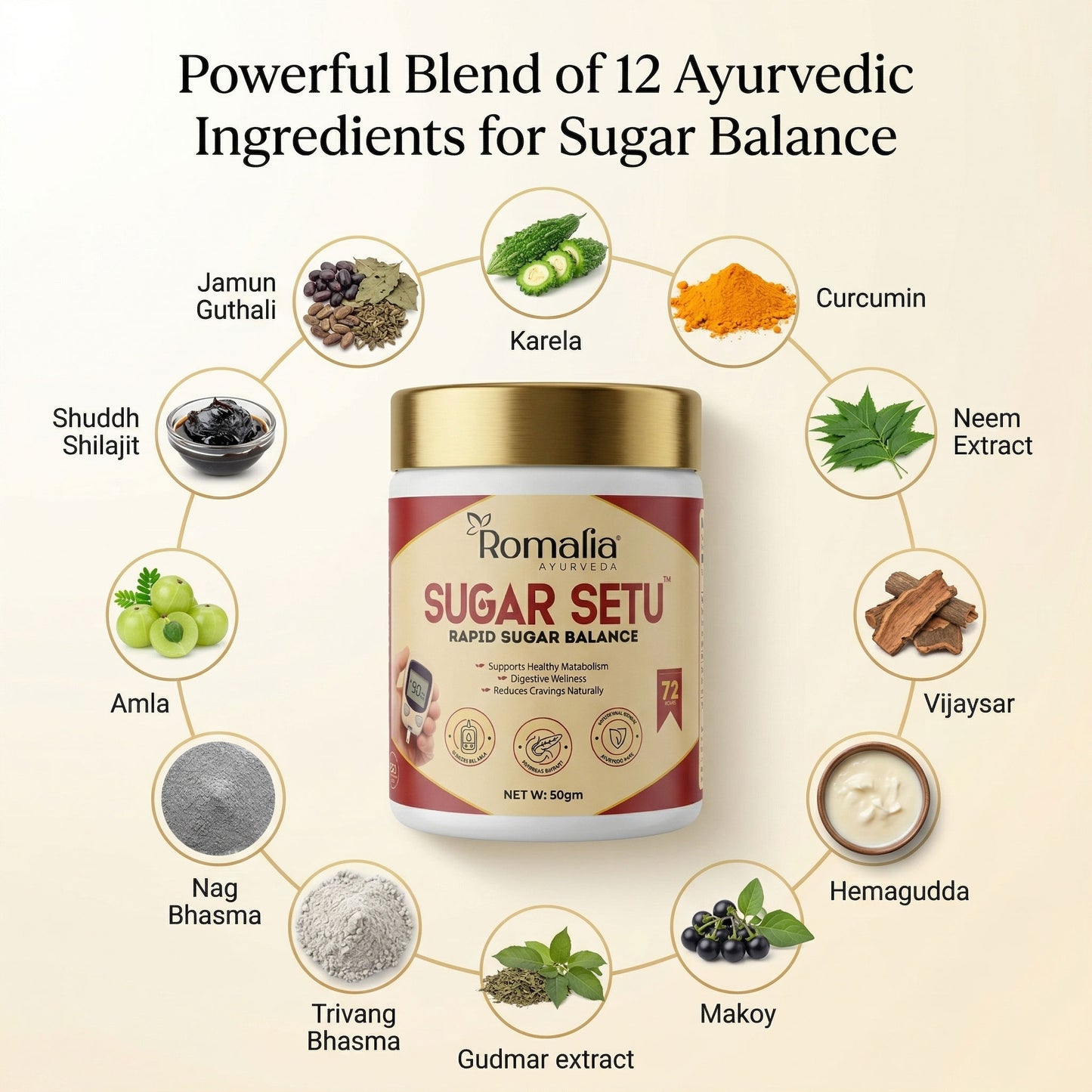 Diabetes Support Formula | Sugar Setu Special Powder | Balance Blood Sugar Naturally in 72 Hour