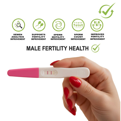 Hand holding a pregnancy test with icons and text about male fertility health on a white background