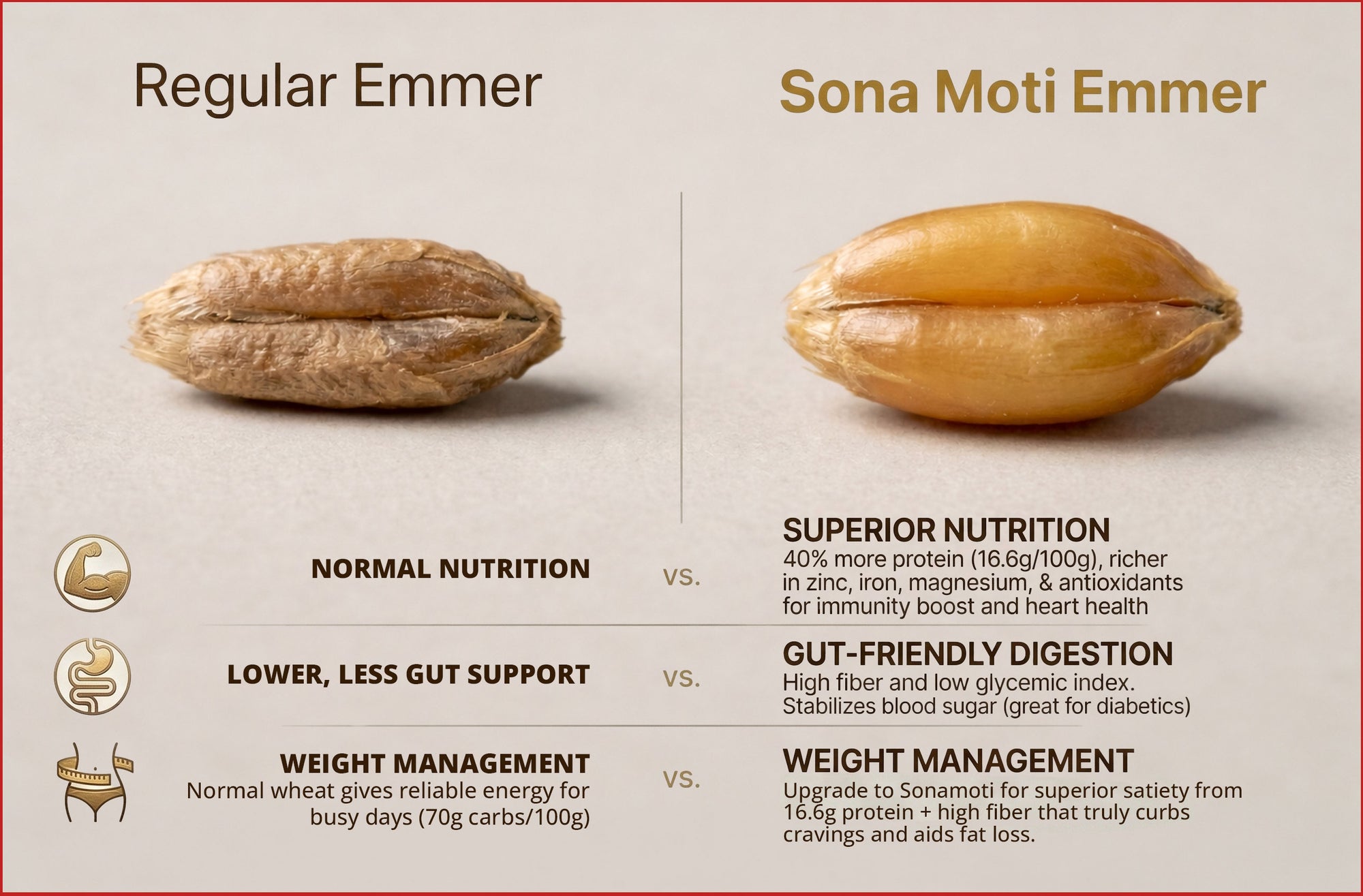 Comparison chart of Regular Emmer and Sona Moti Emmer grains with nutritional benefits.