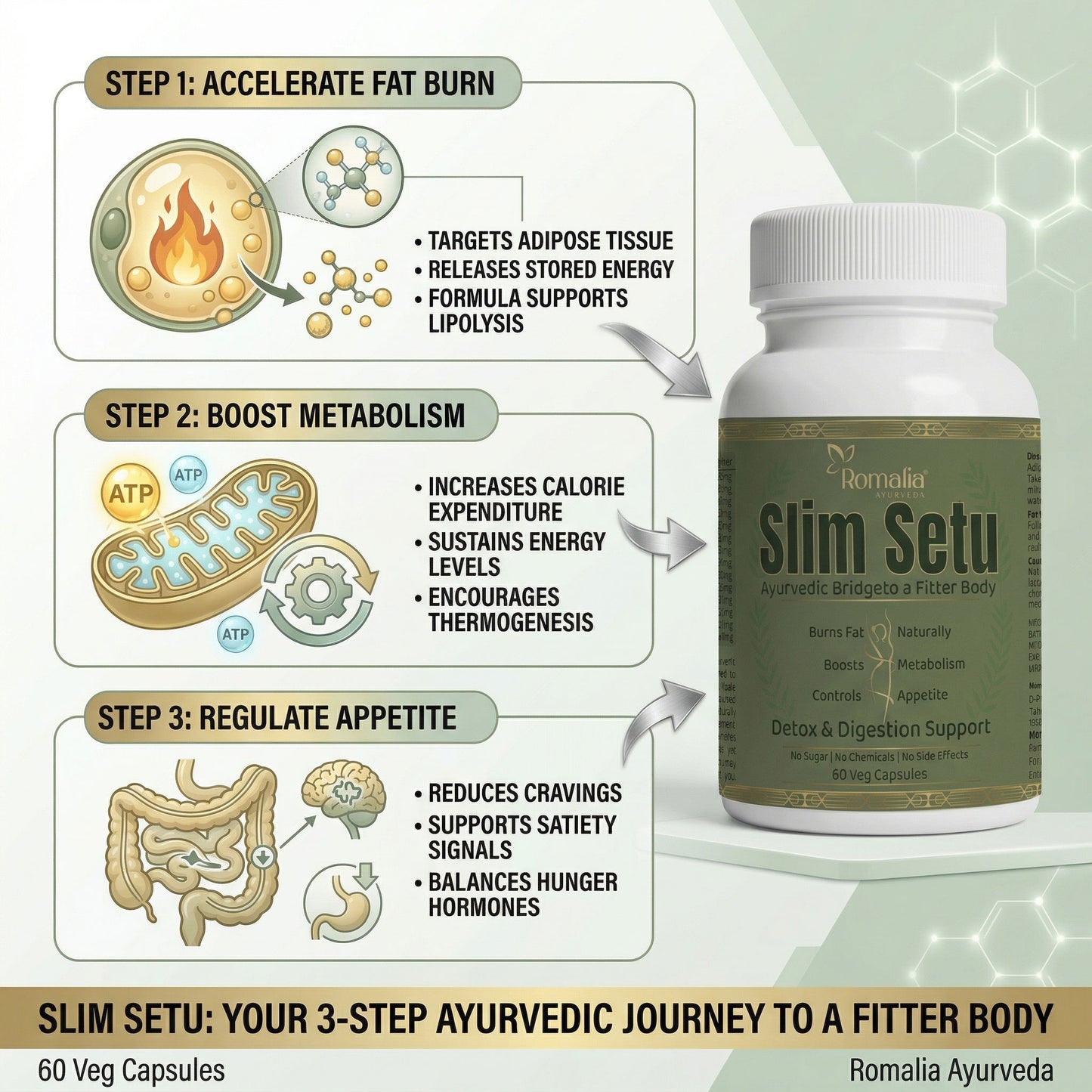 Weight Loss Capsules Natural (Slim Setu) – 60 Veg-Capsules | Ayurvedic Craving Control, Digestion & Metabolism Support