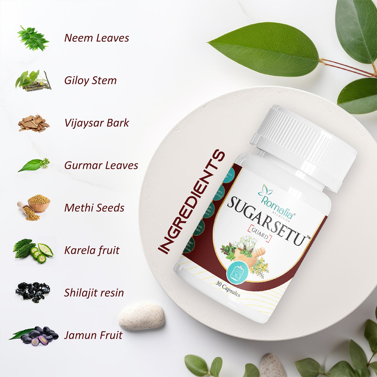 Diabetic Control Veg Capsule - Natural Ayurvedic Solution for Balanced Blood Sugar Levels