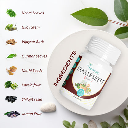 Diabetic Control Veg Capsule - Natural Ayurvedic Solution for Balanced Blood Sugar Levels