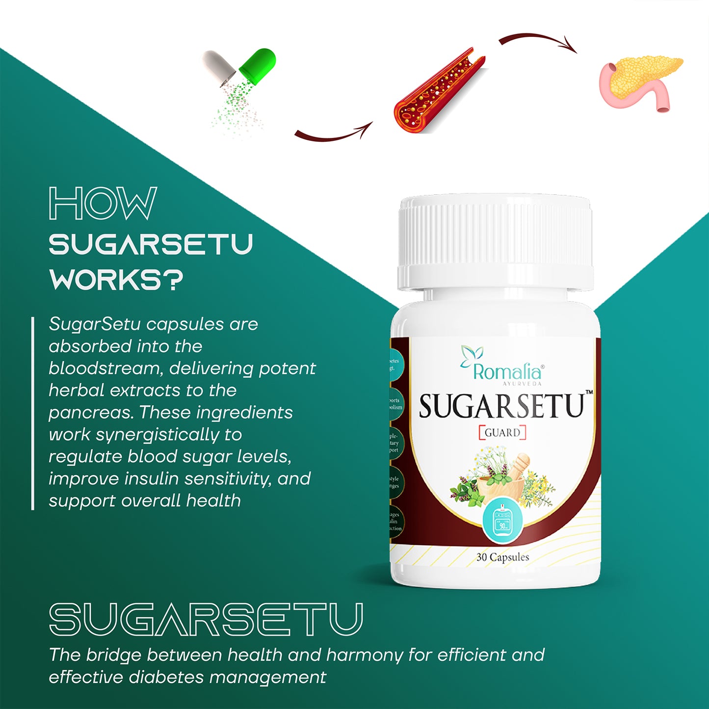 Diabetic Control Veg Capsule - Natural Ayurvedic Solution for Balanced Blood Sugar Levels